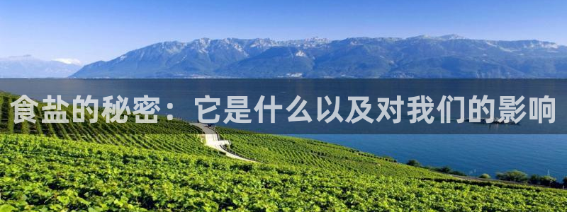 威九国际理论片最经典十首歌曲