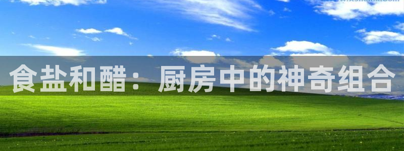 78mapp威九国际官网