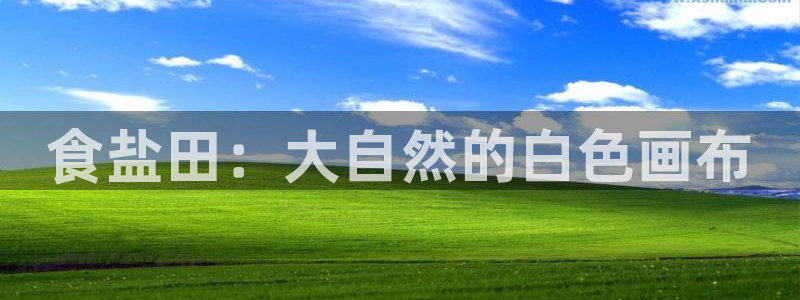 威九国际网站入口地址查询