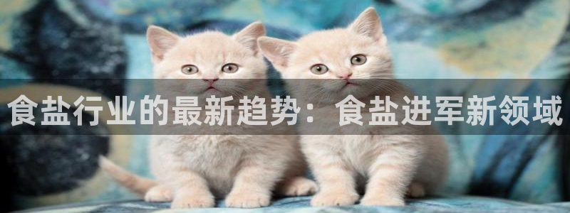 威九国际视频传媒招聘