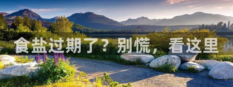 威九国际图片