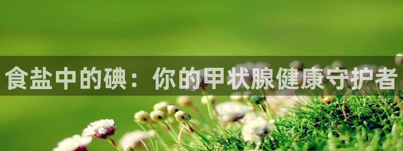 威九国际网站链接
