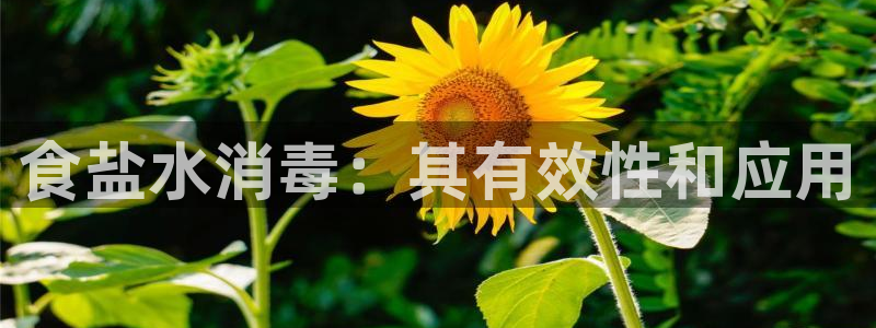 威九国际网站传媒招聘