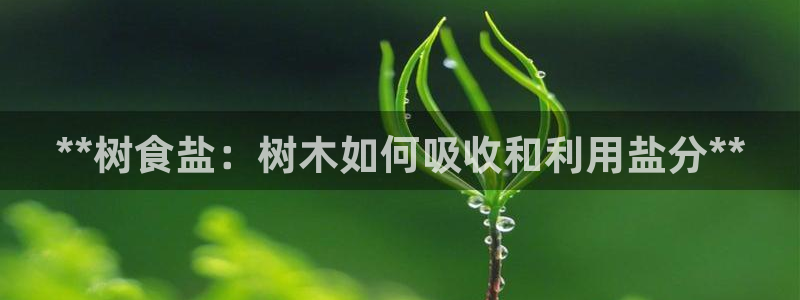 威九国际精甜心诗词网彩片甜心网甜心诗词网