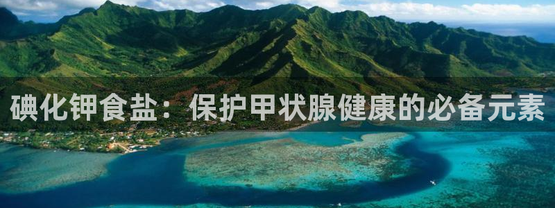 威九国际ppt官网