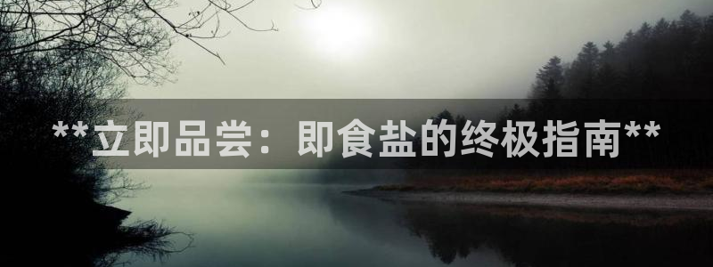威九国际网站入口地址查询