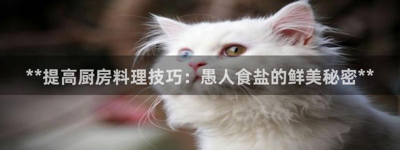 威九国际软件公司简介