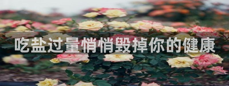 威九国际网站入口官网首页
