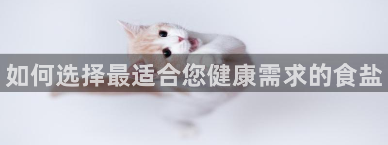保定威九网络科技有限公司招聘