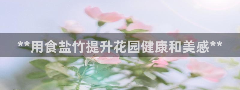 78mapp威九国际官网