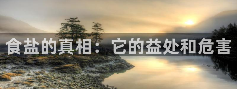 威九国际最新