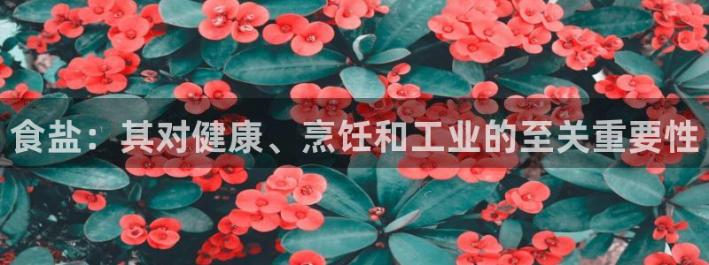 威九国际后爸