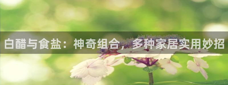 威九国际观看