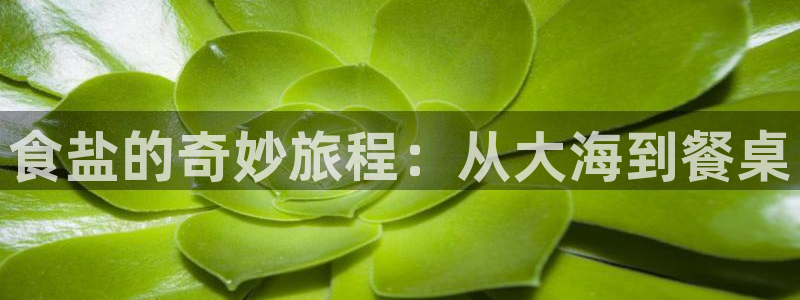 威九国际com
