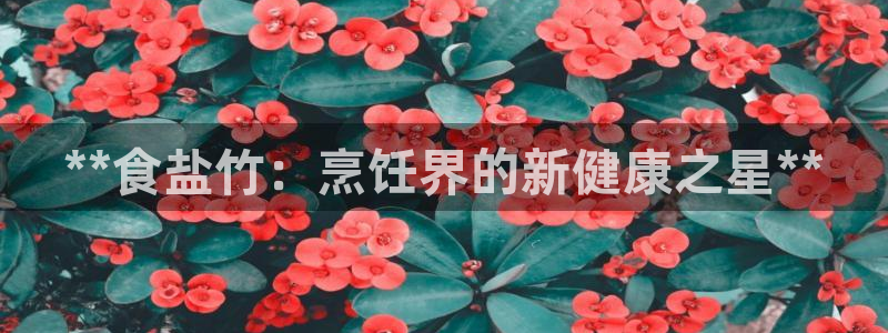 威九国际HP