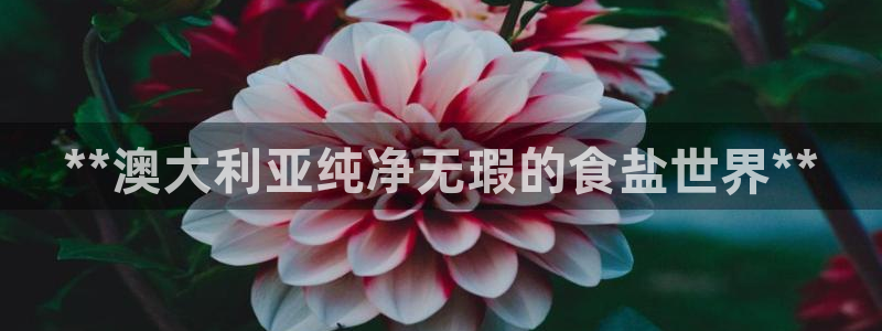 威九国际v96 bet会黑吗
