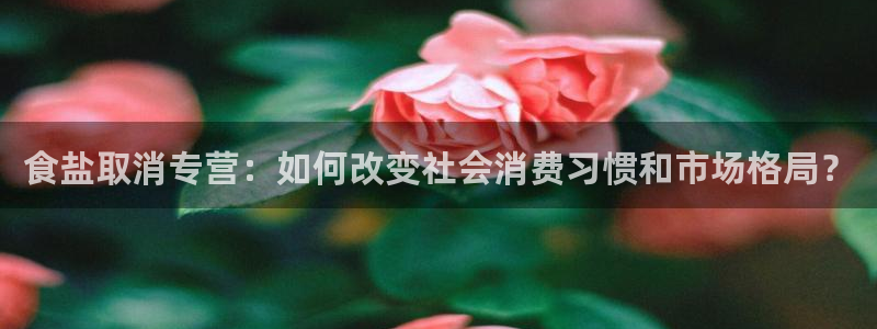 威九国际可以赚到钱