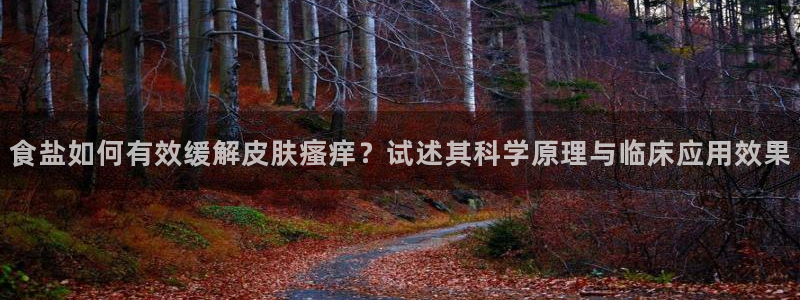 威九国际AN