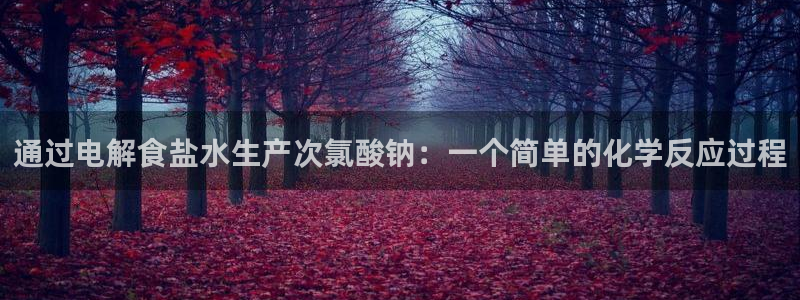 威九国际网站传媒招聘