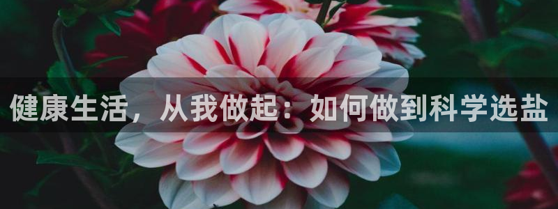 威九国际最新网站