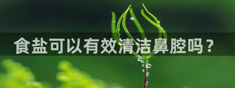 威九国际清砖码头怎么样