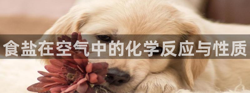 威九国际特殊奖励