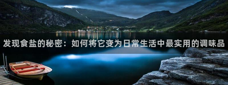 保定威九网络科技有限公司是干嘛的