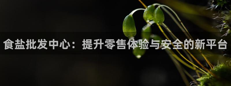 威九国际APP那个地方