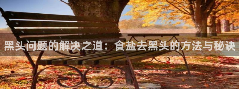 威九国际海域