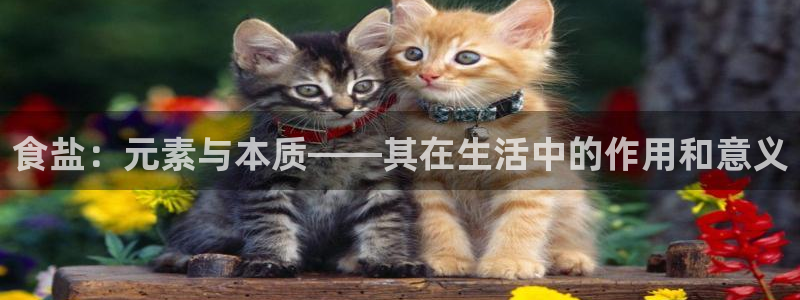 威九国际宣传片