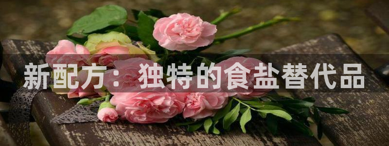 威九国际清砖码