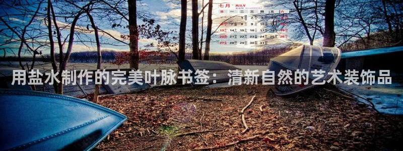 威九国际全国空降