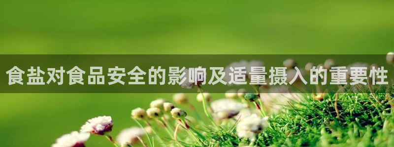 威九国际软件公司简介
