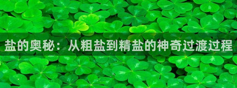 威九国际官网登录入口网站：盐的奥秘：从粗盐到精盐的神奇过渡过