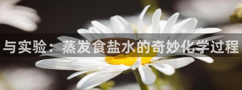 威九国际取款机怎么取