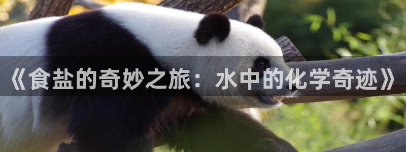 保定威九网络科技有限公司招聘