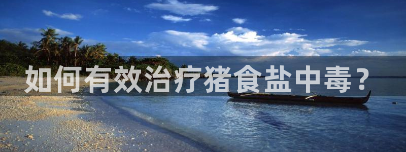 威九国际app下载