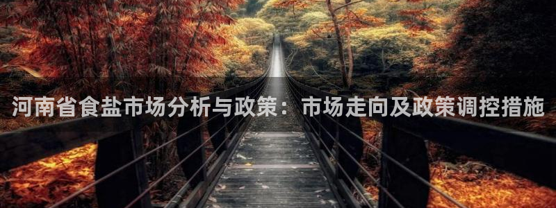 威九国际网站入口地址在哪里：河南省食盐市场分析与政策：市场走
