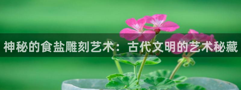 威九国际官网登录入口网站