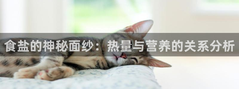 威九国际宣传片