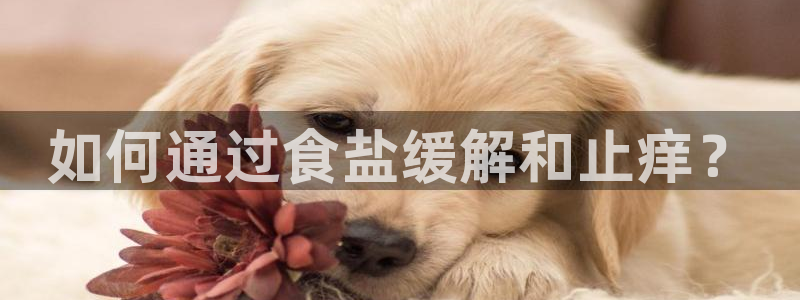 威九国际66在线