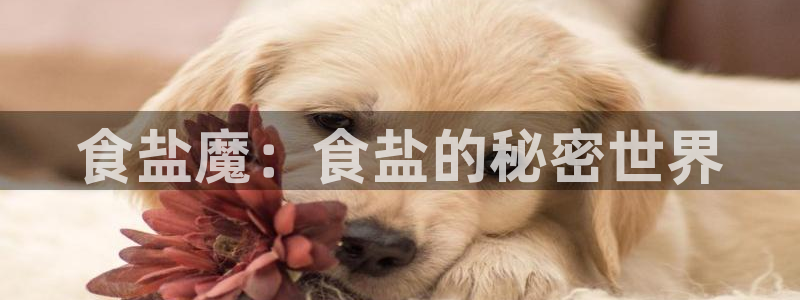 78mapp威九国际媒体央视