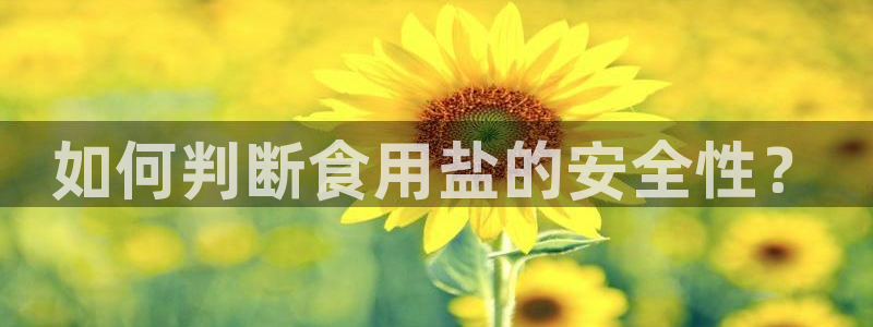 威九国际网站客服电话多少