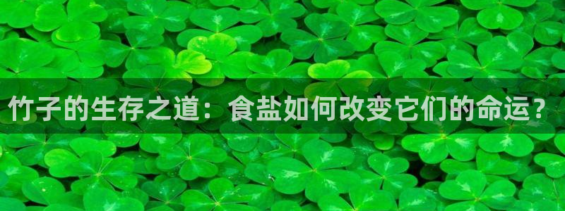 威九国际免费版