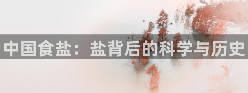 威九国际软件公司简介