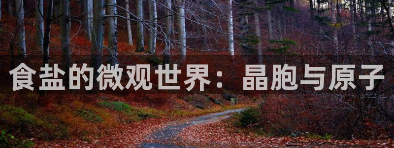 威九国际游戏app(网站)