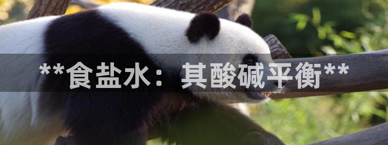 威九国际客服电话号码查询