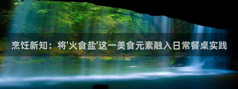 威九国际PPT