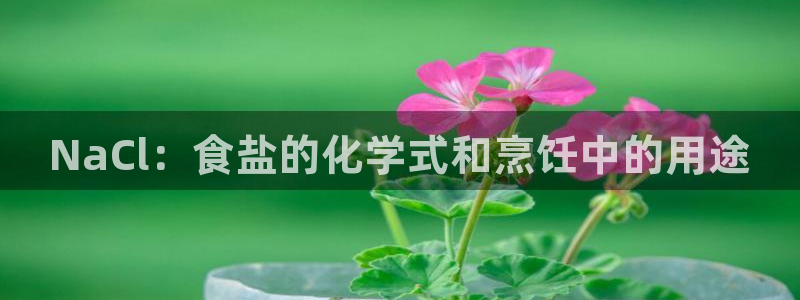 威九国际66m免费下载