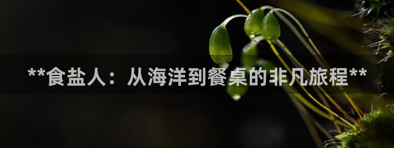 威九国际的女主